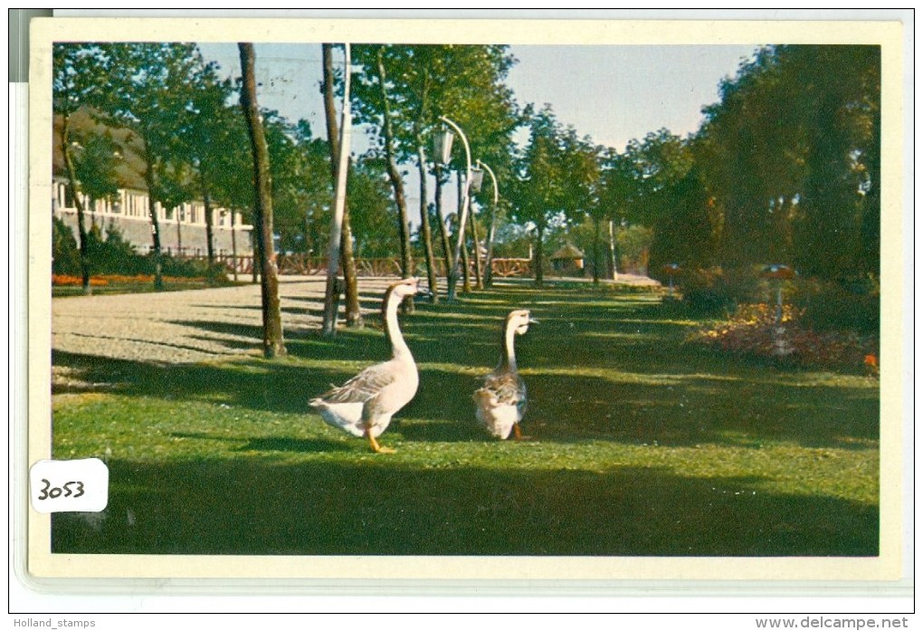 ALPHEN AAN DE RIJN * AVIFAUNA *  ANSICHTKAART * CPA *  (3053) - Alphen A/d Rijn