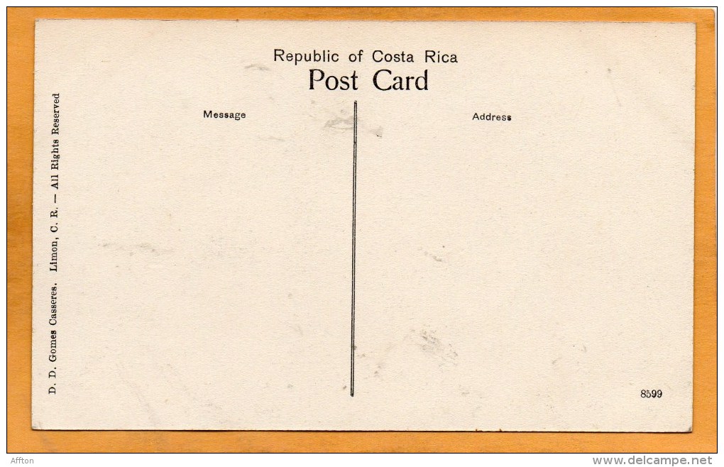 Valle Of Reventazon Costa Rica 1905 Postcard - Costa Rica