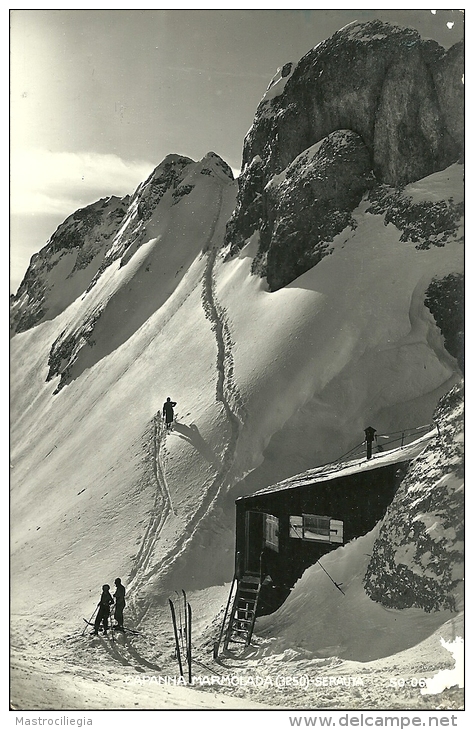 DOLOMITI  MARMOLADA  Serauta  Pian Dei Fiacconi  C.A.I. Rifugio E. Castiglioni  Sci Alpinismo - Trento