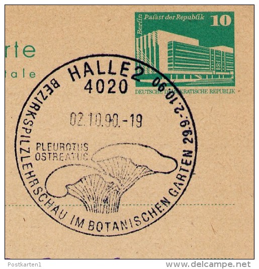 PILZ AUSTERN-SEITLING Halle 2.10.1990 LETZTTAG Auf DDR P84 Postkarte - Postcards - Used