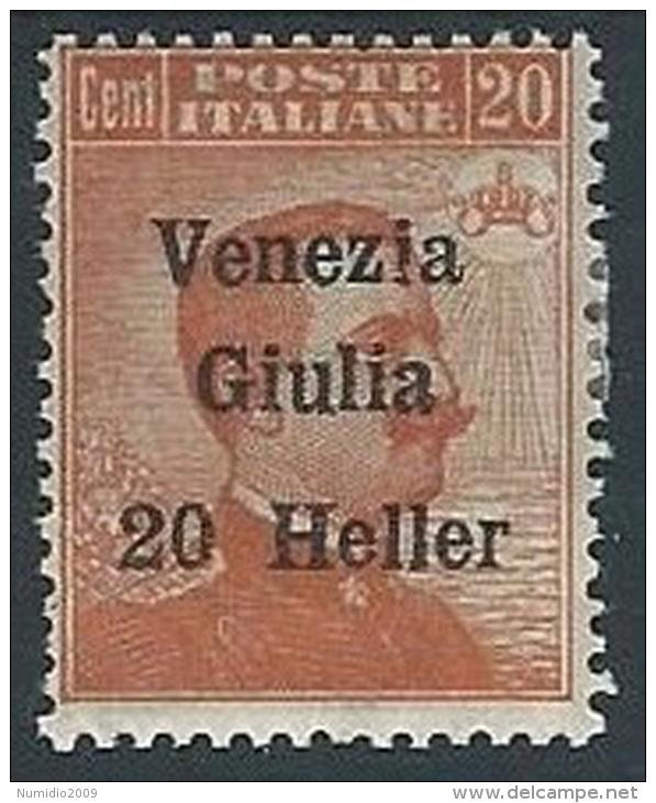 1919 VENEZIA GIULIA EFFIGIE 20 H MH * - ED217 - Venezia Giulia
