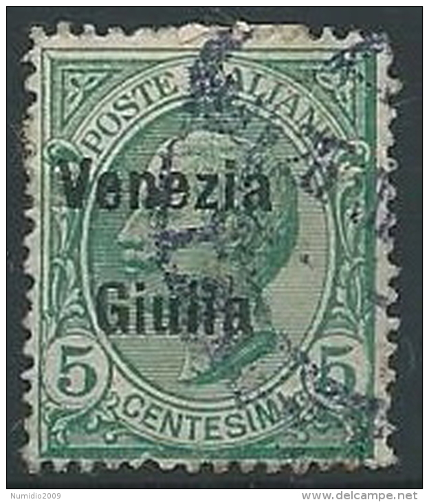 1918-19 VENEZIA GIULIA USATO EFFIGIE 5 CENT - ED225 - Vénétie Julienne