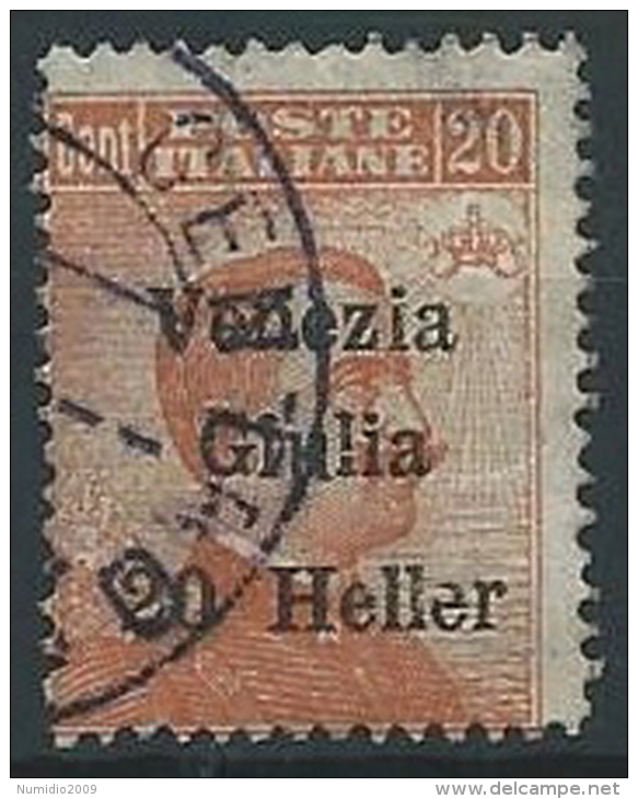 1919 VENEZIA GIULIA USATO EFFIGIE 20 H - ED225 - Vénétie Julienne