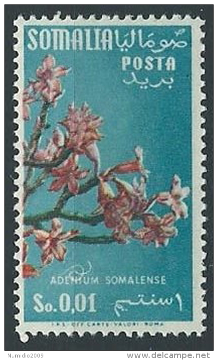 1955 SOMALIA AFIS FIORI FILIGRANA RUOTA 1 CENT MNH ** - ED240 - Somalia (AFIS)