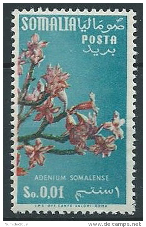 1955 SOMALIA AFIS FIORI FILIGRANA RUOTA 1 CENT MNH ** - ED240-2 - Somalia (AFIS)