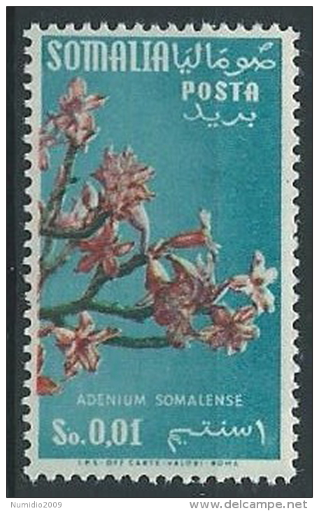 1955 SOMALIA AFIS FIORI FILIGRANA RUOTA 1 CENT MH * - ED241 - Somalia (AFIS)
