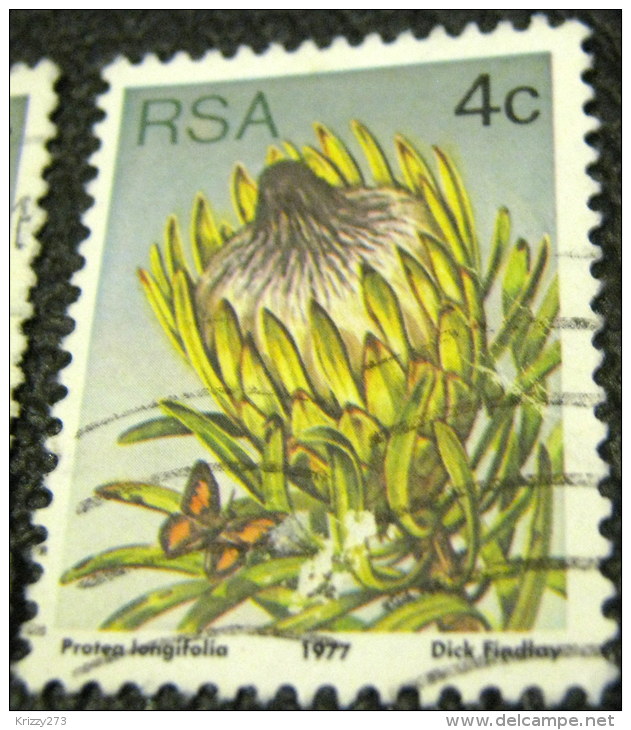 South Africa 1977 Succulents Protea Longifolia 4c - Used - Oblitérés