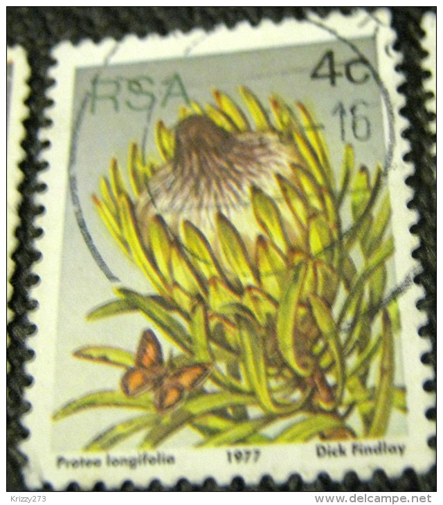 South Africa 1977 Succulents Protea Longifolia 4c - Used - Oblitérés