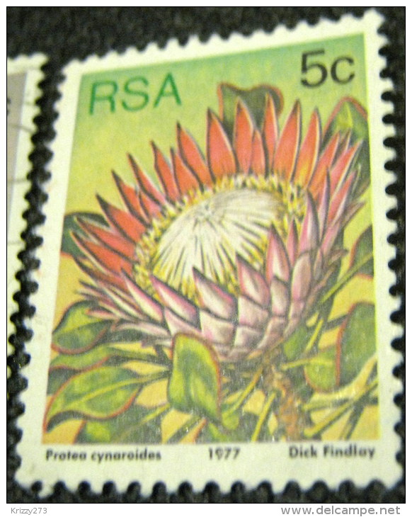 South Africa 1977 Succulents Protea Cynaroides 5c - Used - Oblitérés