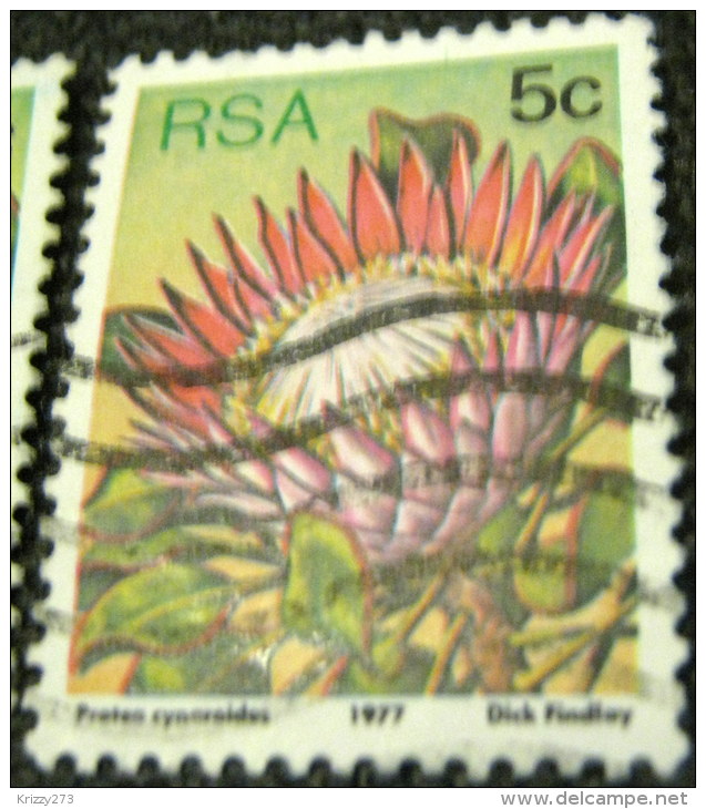 South Africa 1977 Succulents Protea Cynaroides 5c - Used - Oblitérés