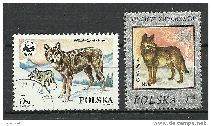 POLEN Poland Polska Der Wolf Wulf One Stamp Is WWF 1985 O - Used Stamps