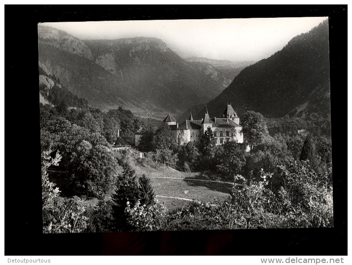 THORENS  Haute Savoie 74 : Château De Thorens Vue Générale Et Sa Vallée D'Usillon - Thorens-Glières
