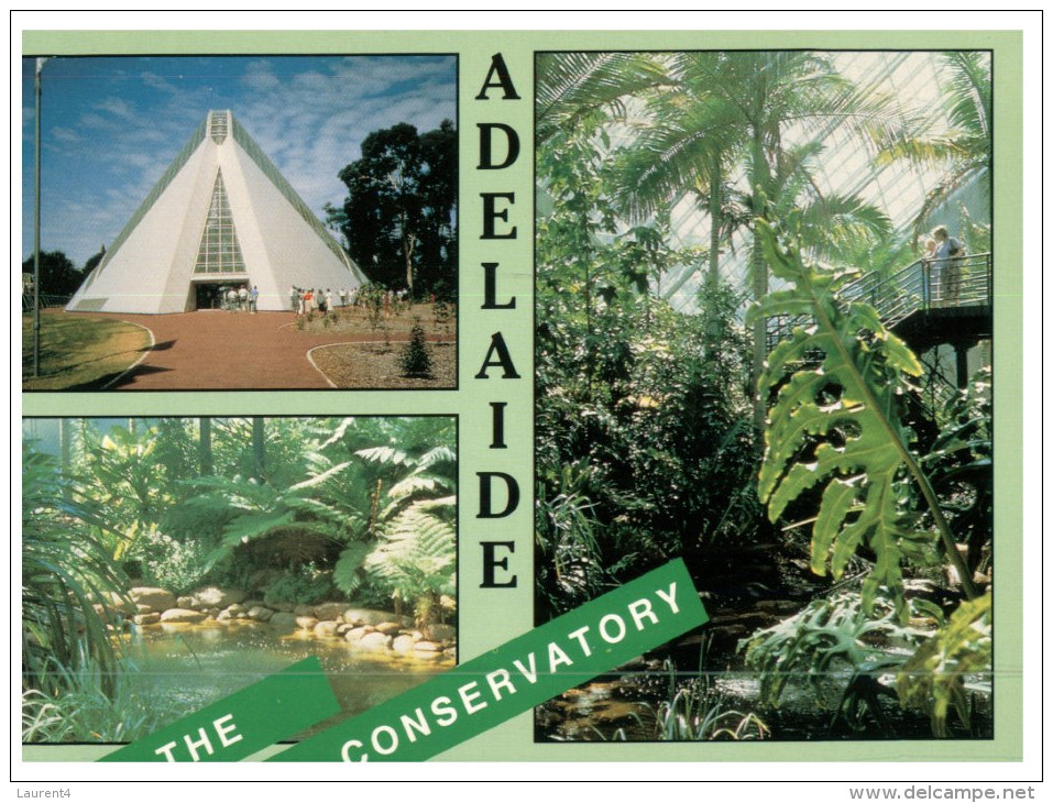 (901) Australia - SA - Adelaide Conservatory - Adelaide