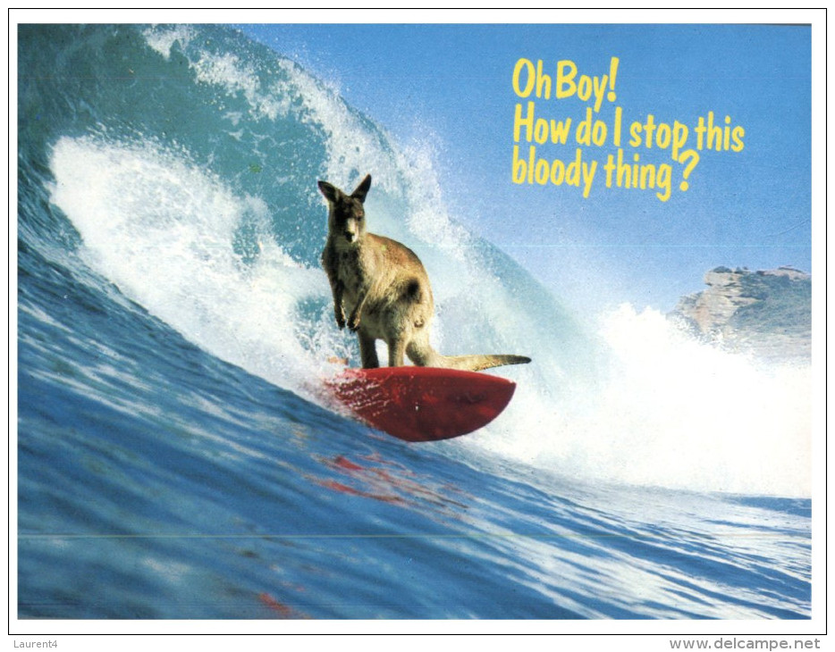 (901) Australia - Kangaroo On Surf Board - Outback