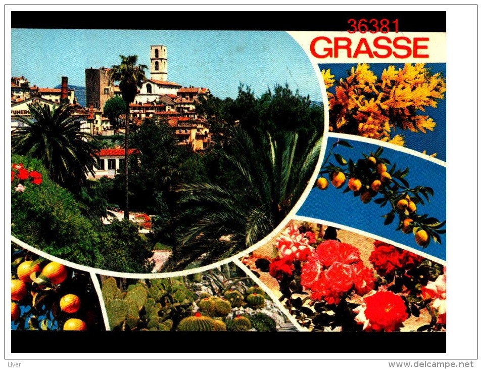 Grasse Multivues - Grasse