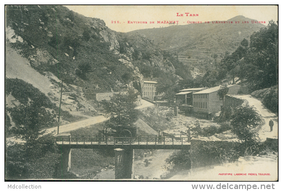 81 MAZAMET / Les Gorges De L'Arnette Et Les Usines / - Mazamet