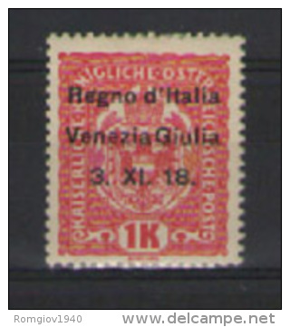 VENEZIA GIULIA 1918  EFFIGE  SASS. 14 MLH  VF - Vénétie Julienne