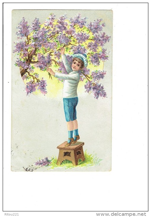 Carte Gaufrée -  GARCON SUR TABOURET CUEILLE BRANCHES ARBRE LILAS - 1906 -  N°5265 - Verzamelingen & Reeksen