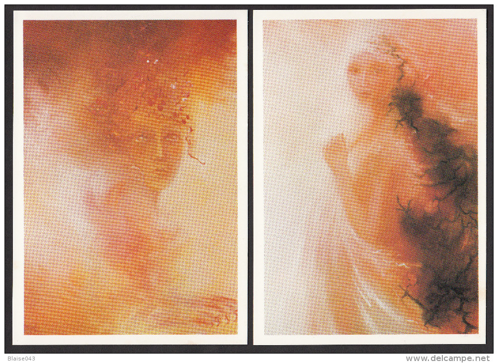 CPM - BRUEL 1984 - Lot De 8 Cartes Reproduction Peinture, Thème Femme - Voir Descriptif - Peintures & Tableaux