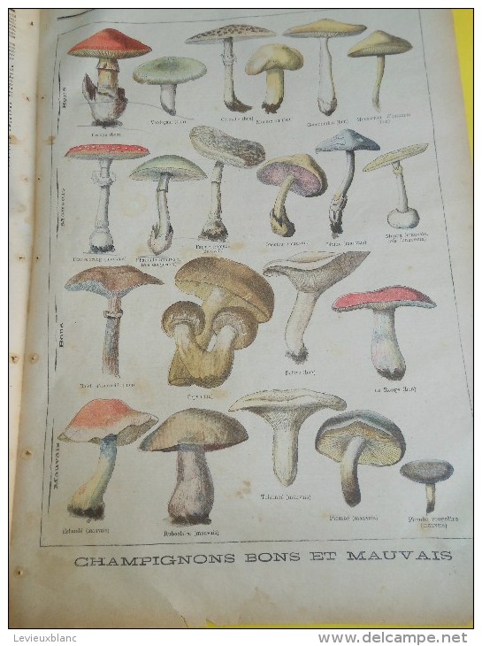 Le Petit Journal/Supplément Illustré/DREYFUS à L'ile Du Diable /Cyclone Place Du Châtelet Paris/ 1896   VJ15 - 1850 - 1899