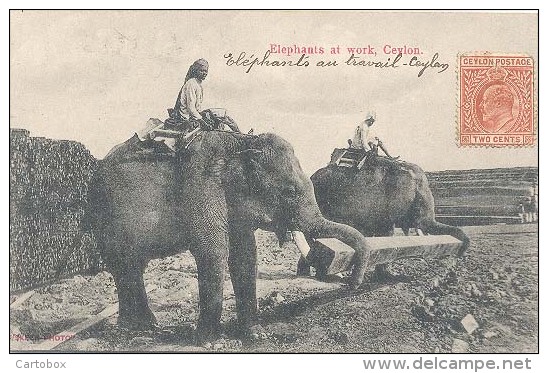 Ceylon, Elephants At Work, Ceylon   (Sri Lanka)  (Ceylan) - Sri Lanka (Ceylon)