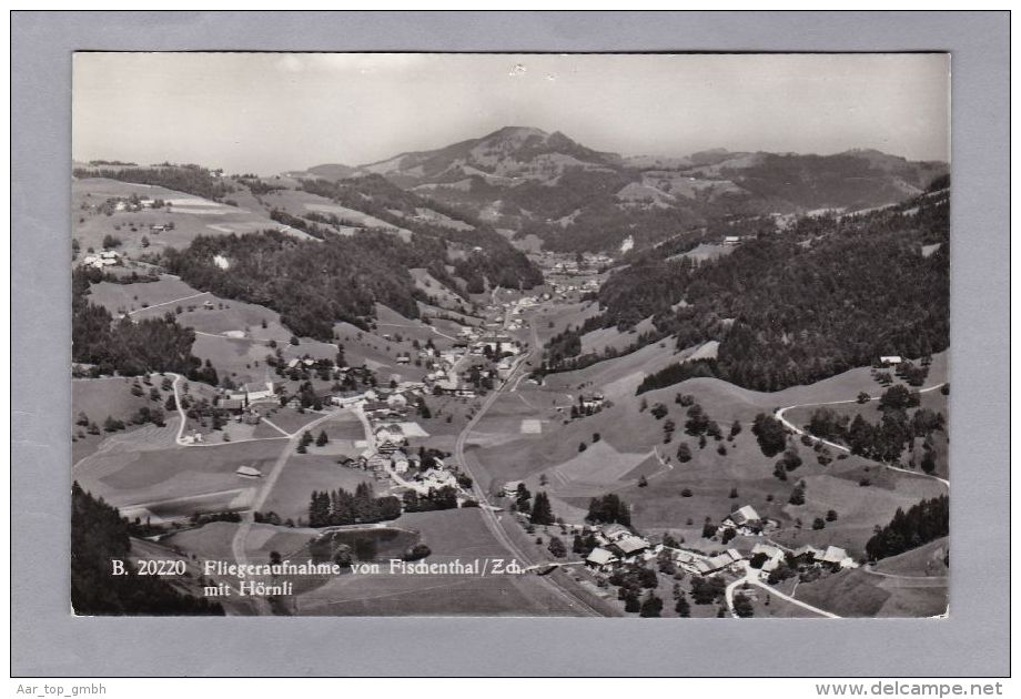 ZH Fischenthal 1961.VII.28. Steg Im Tösstal  Fliegeraufnahme  Foto A.Boss - Fischenthal