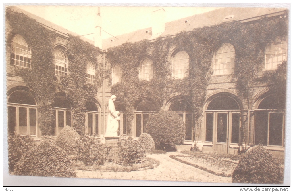 Eeklo. Institut Notre Dame Aux Epines. O.L.V. Ten Doorn Inrichting. Jardin Saint-Joseph. Binnentuintje. - Eeklo