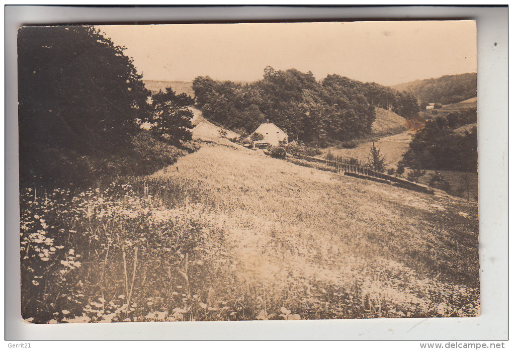 5628 HEILIGENHAUS, Blick Vom Weinberg Ins Paradies, 193... - Mettmann