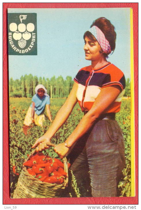 K891 / 1965 - BULGARPLODEXPORT - Beautiful Woman With A Basket With Peppers - Calendar Calendrier Kalender - Bulgaria - Petit Format : 1961-70