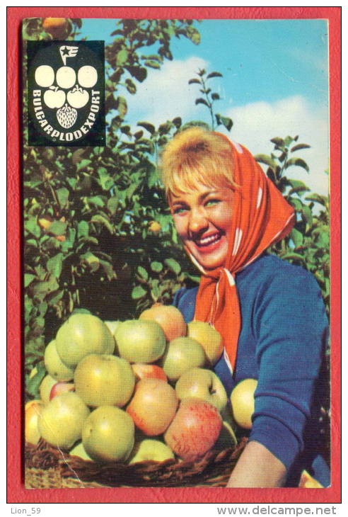 K892 / 1965 - BULGARPLODEXPORT - Beautiful Woman With A Basket Of Apples - Calendar Calendrier Kalender - Bulgaria - Petit Format : 1961-70