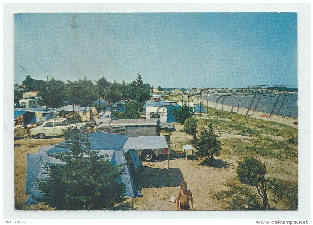 Anglet (64) : Vue Intérieur Du  Camping De La Barre De L'adour En 1970 (animé) GF. - Anglet