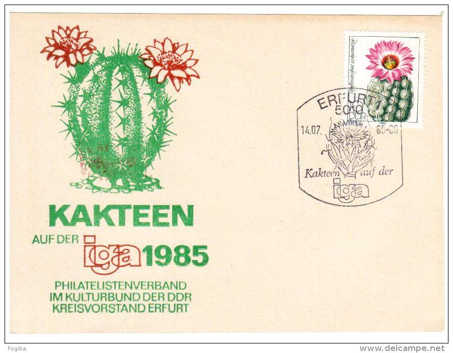 DDR, GERMANIA -1985  - ERFURT - CARTOLINA KAKTEEN IGEA 1985 - Cactusses