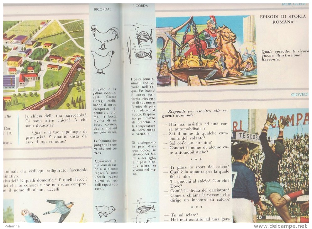 PFV/13 GIORNI D'ESTATE- COMPITI VACANZE SCUOLE Anni ´60/Illustratori E. Gusmaroli - Old