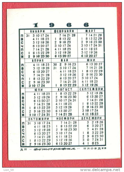 K916 / 1966 - ASENOVGRAD - " RODOPA " Factory SAUSAGE , PIG - Calendar Calendrier Kalender - Bulgaria Bulgarie Bulgarien - Petit Format : 1961-70