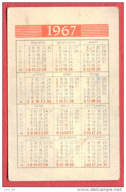 K929 / 1967 - " PHOTOIZDAT " COMPANY Photographer SAILIN BLACK SEA -  Calendar Calendrier Kalender - Bulgaria Bulgarie - Petit Format : 1961-70