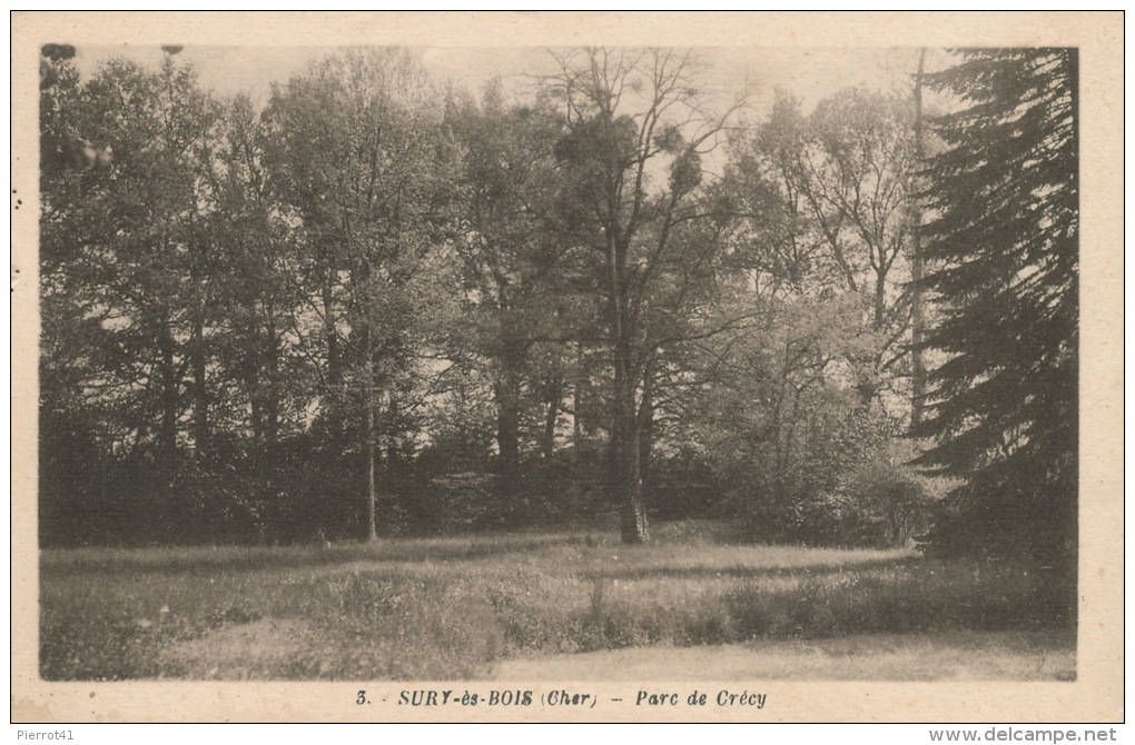 SURY ES BOIS - Parc De Crécy - Sury-près-Léré