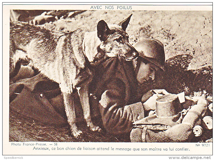 23715 Guerre 1914-18 Avec Nos Poilus -france Presse 38 Dolly 9721 -anxieux Brave Chien Laison Message Soldat - Guerra 1914-18