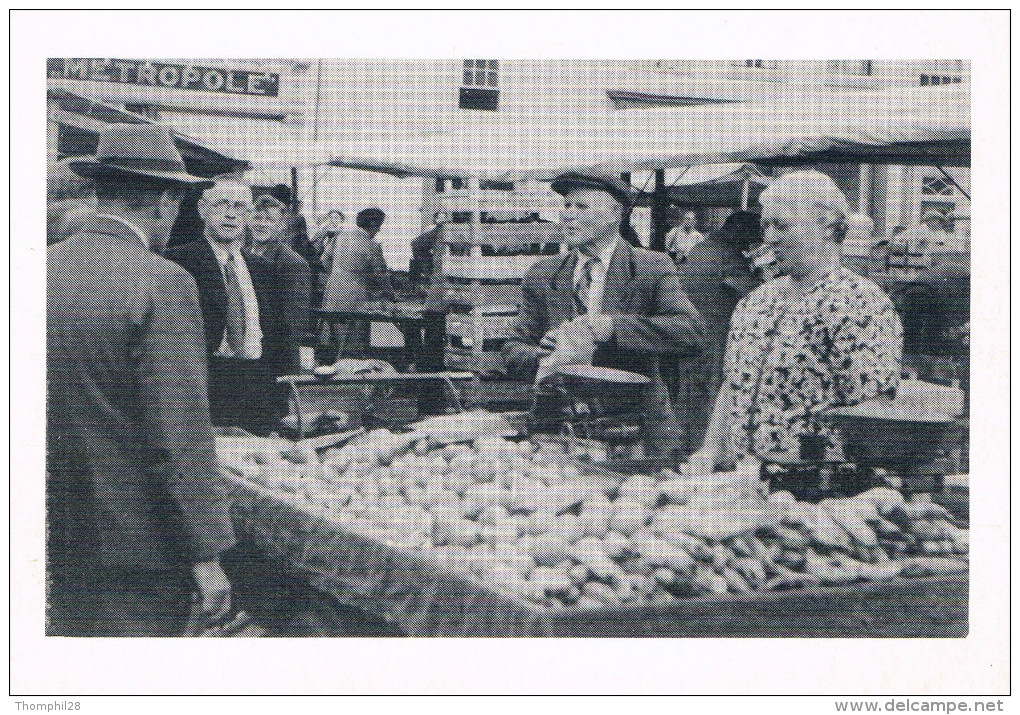 AMERSFOORT - 1955 - Weekmarkt Op De Hof Met De Fam. Van Barlingen... - Reproduction - Non Circulée, 2 Scans - Amersfoort