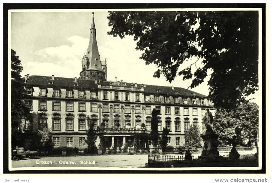 Erbach I. Odenwald  -  Schloß  -  Ansichtskarte Ca.1935    (3174) - Erbach