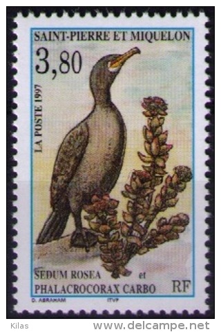 Saint Pierre And Miquelon 1997 Fauna, Flora MNH - Picotenazas & Aves Zancudas