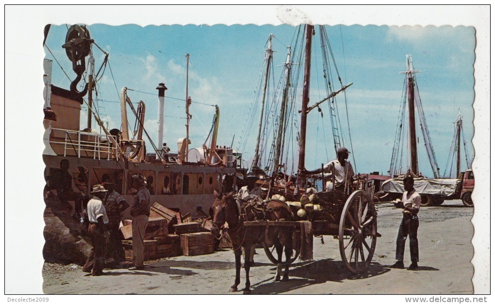 P3807 Trinidad Wharfside Coconut Vendor Port Of Spain  Chariot  Front/back Image - Trinidad