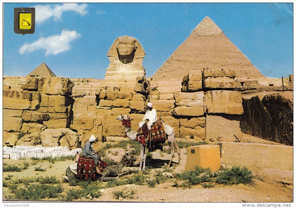P3800 Camel Giza The Great Sphinx Egypt Kephren And The Mycerio Front/back Image - Sphynx