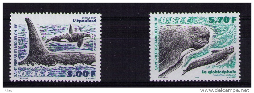 Saint Pierre And Miquelon 2001 Whales MNH - Walvissen