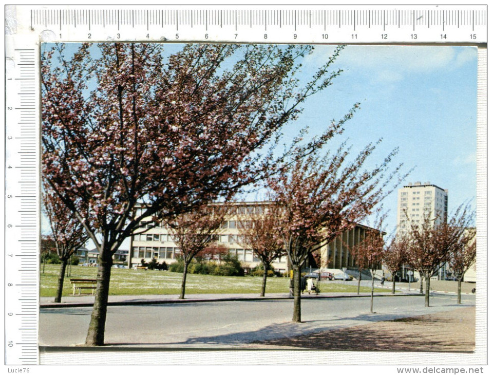 LOMME  -  L Hôtel De Ville Au Printemps - Lomme