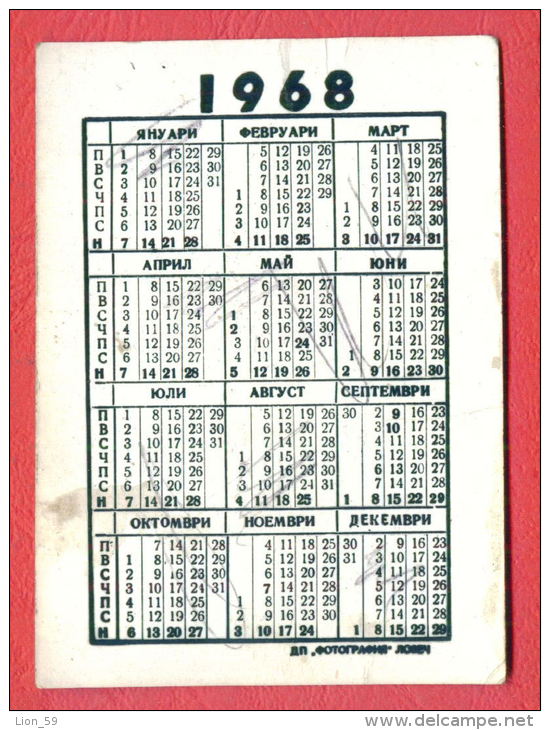 K982 / 1968  PLEVEN - State Rubber Plant ( DKK ) "Vasil Kolar - Calendar Calendrier Kalender Bulgaria Bulgarie Bulgarien - Petit Format : 1961-70