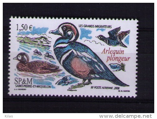 Saint Pierre And Miquelon 2008 Birds (fauna) MNH - Unused Stamps