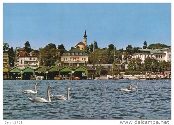 Starnberg / Starnbergersee - Karte Unbeschriftet / Card Mint (X1082) - Starnberg