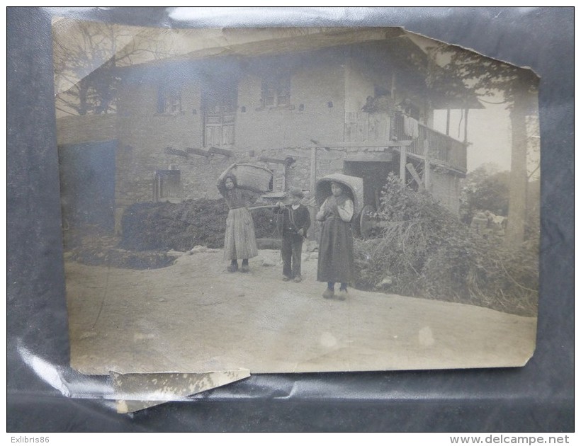 CANTAL  TB Photo Ancienne  Ramasseur De Pommes ? Vers 1900 ; Ref 535 - Old (before 1900)