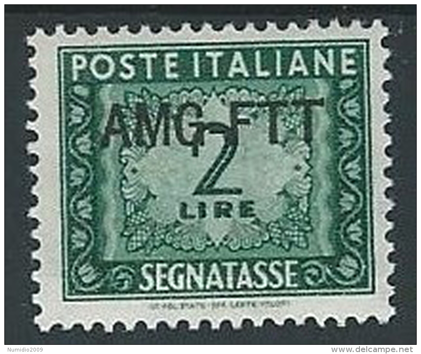 1949-54 TRIESTE A SEGNATASSE 2 LIRE MH * - ED097-4 - Postage Due