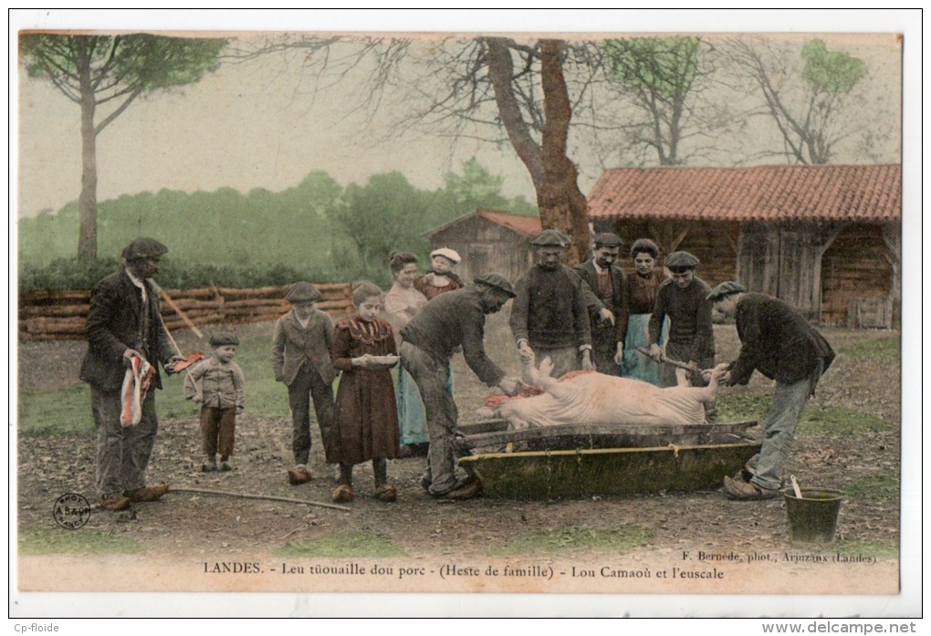 40 - LANDES . LOU TÜOUAILLE DOU PORC . (HESTE DE FAMILLE) . LOU CAMAOù ET L´EUSCLE - Réf. N°6040 - - Autres & Non Classés